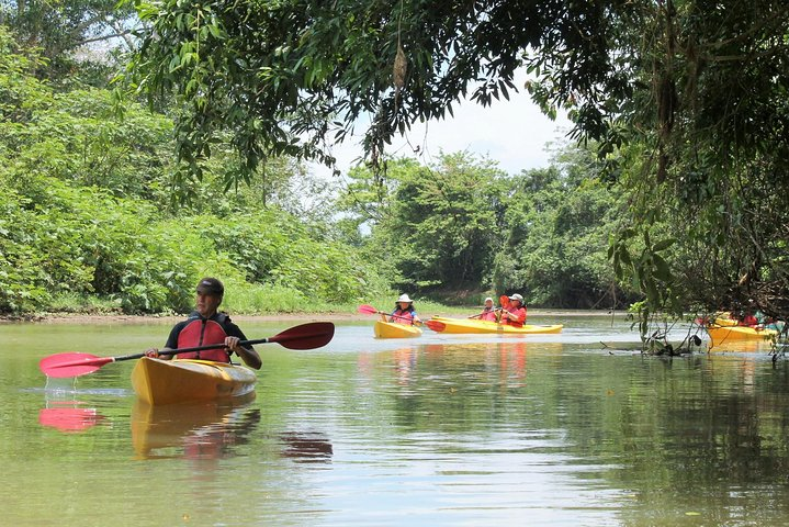 Kayak Safari - Photo 1 of 6
